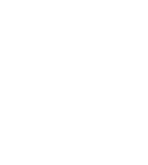 Space Pirates